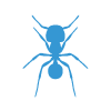 pavement ant removal
