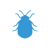 bed bug removal