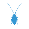 cockroach removal