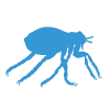 flea removal
