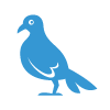 pigeon removal