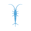 silverfish control