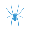 spider removal