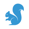 squirrel removal